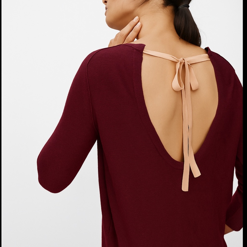 Babaton Bailey Silk/Cotton/Cashmere Sweater in Burgundy (runs large)